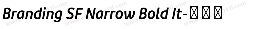 Branding SF Narrow Bold It字体转换